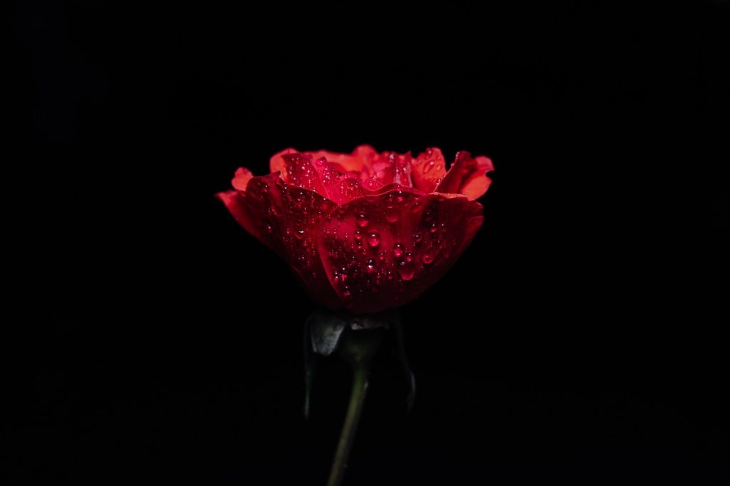 Kapitel "Amor" Liebe